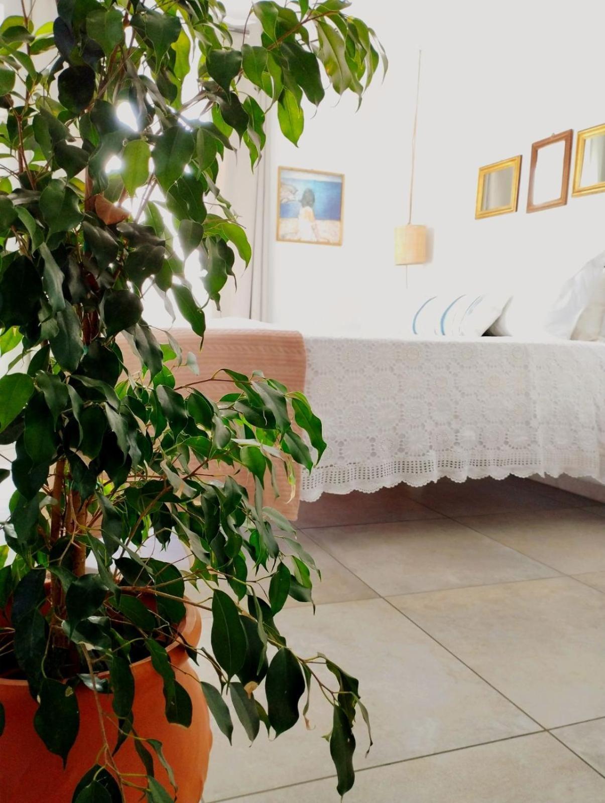 Ammoudara'S Apartments Rooftop Kalymnos Town ภายนอก รูปภาพ